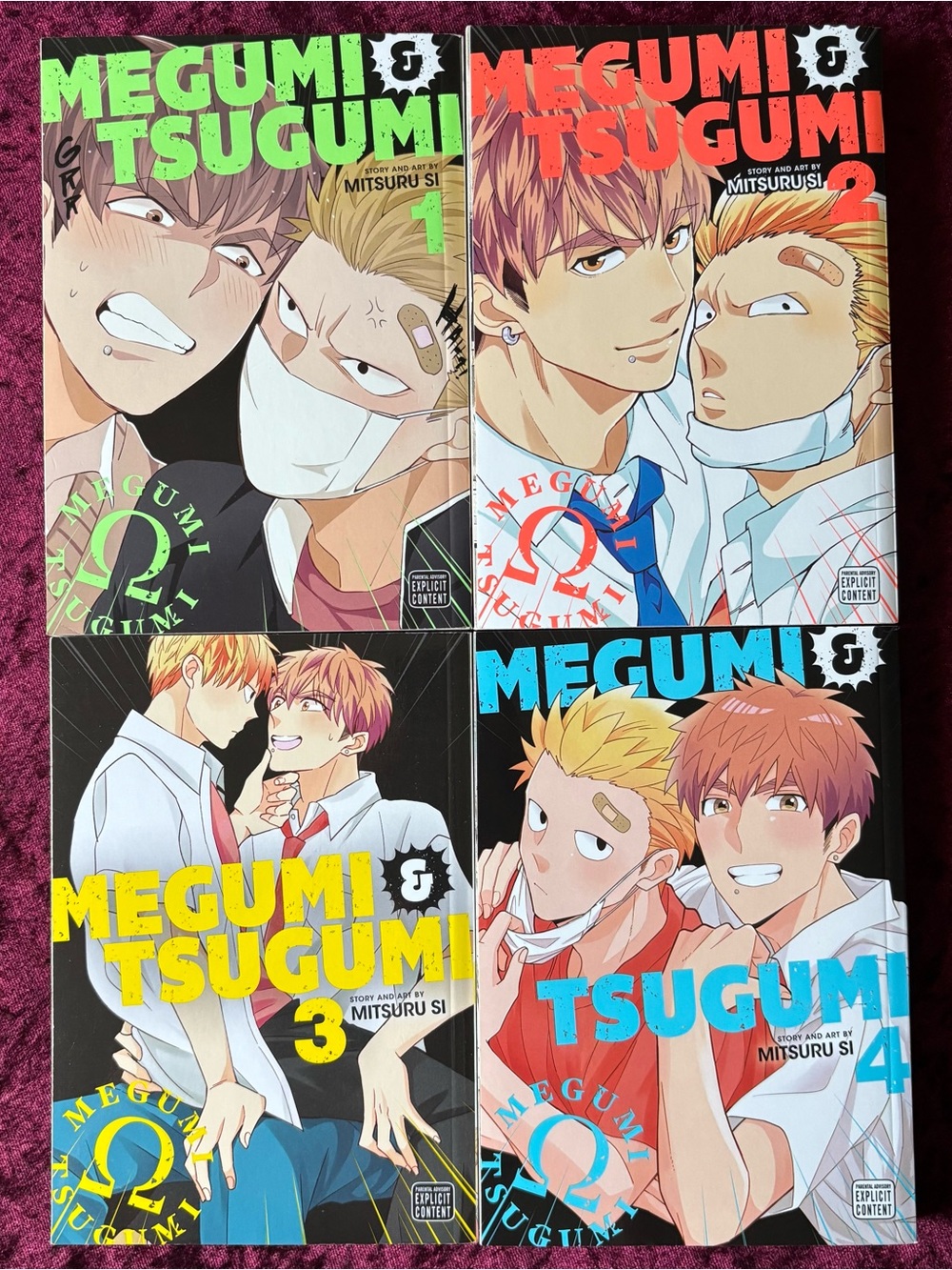 Megumi & Tsugumi Vol. 1-4 manga set